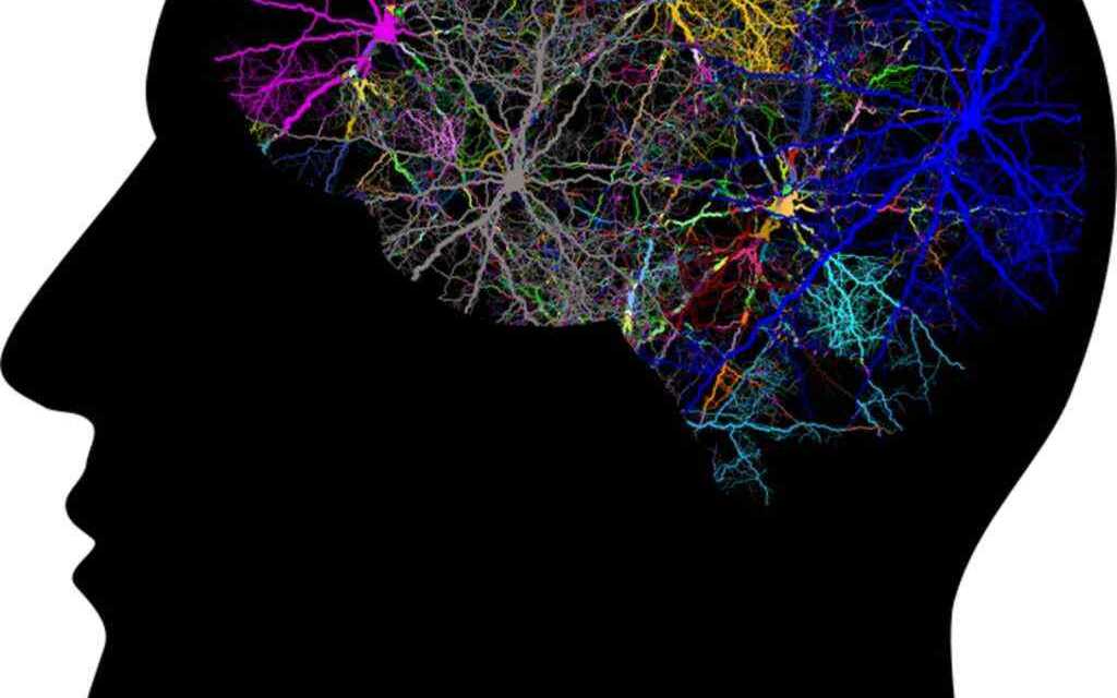 Comment développer son intuition ?