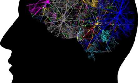 Comment développer son intuition ?